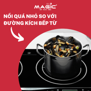5 Lưu Ý Khi Mua Nồi Nấu Bếp Điện Từ, Mua Loại Nào 58