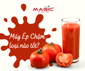 Máy Ép Chậm Loại Nào Tốt: Kinh Nghiệm Chọn Máy 11