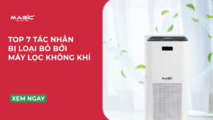 máy lọc không khí