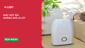 máy hút ẩm không khí