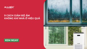 Minh họa 9 cách làm giảm độ ẩm nhà ở hiệu quả