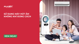 Minh họa cách sử dụng máy hút ẩm đúng cách