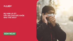 Bụi Mịn Là Gì? Tác Hại Nghiêm Trọng Của Bụi Mịn 3