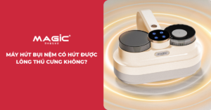 máy hút bụi nệm