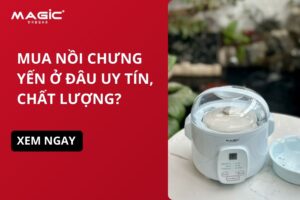 Mua Nồi Chưng Yến Ở Đâu Uy Tín, Chất Lượng? 4