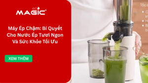 Máy Ép Chậm: Bí Quyết Cho Nước Ép Tươi Ngon Và Sức Khỏe Tối Ưu